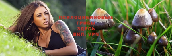 соль курить ск Алексин
