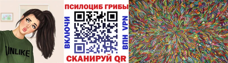 Псилоцибиновые грибы мицелий  дарнет шоп  Анжеро-Судженск 